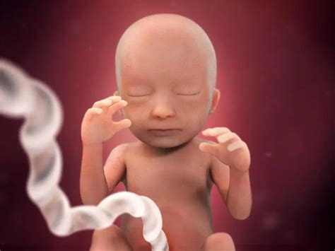 anne karnında bebek nefes hareketleri